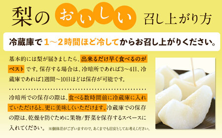 梨 秀品 旬の梨 約4kg