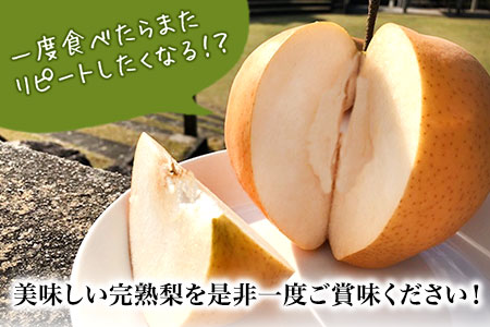 梨【2026年発送先行予約】産地直送 愛宕梨 約4kg | 岡山県矢掛町