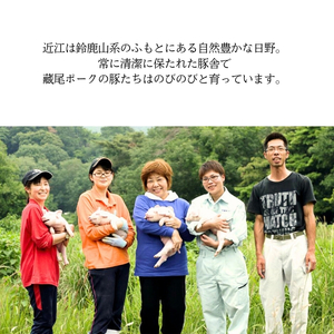 豚肉 ロース バラ モモ 計800g 藏尾ポーク