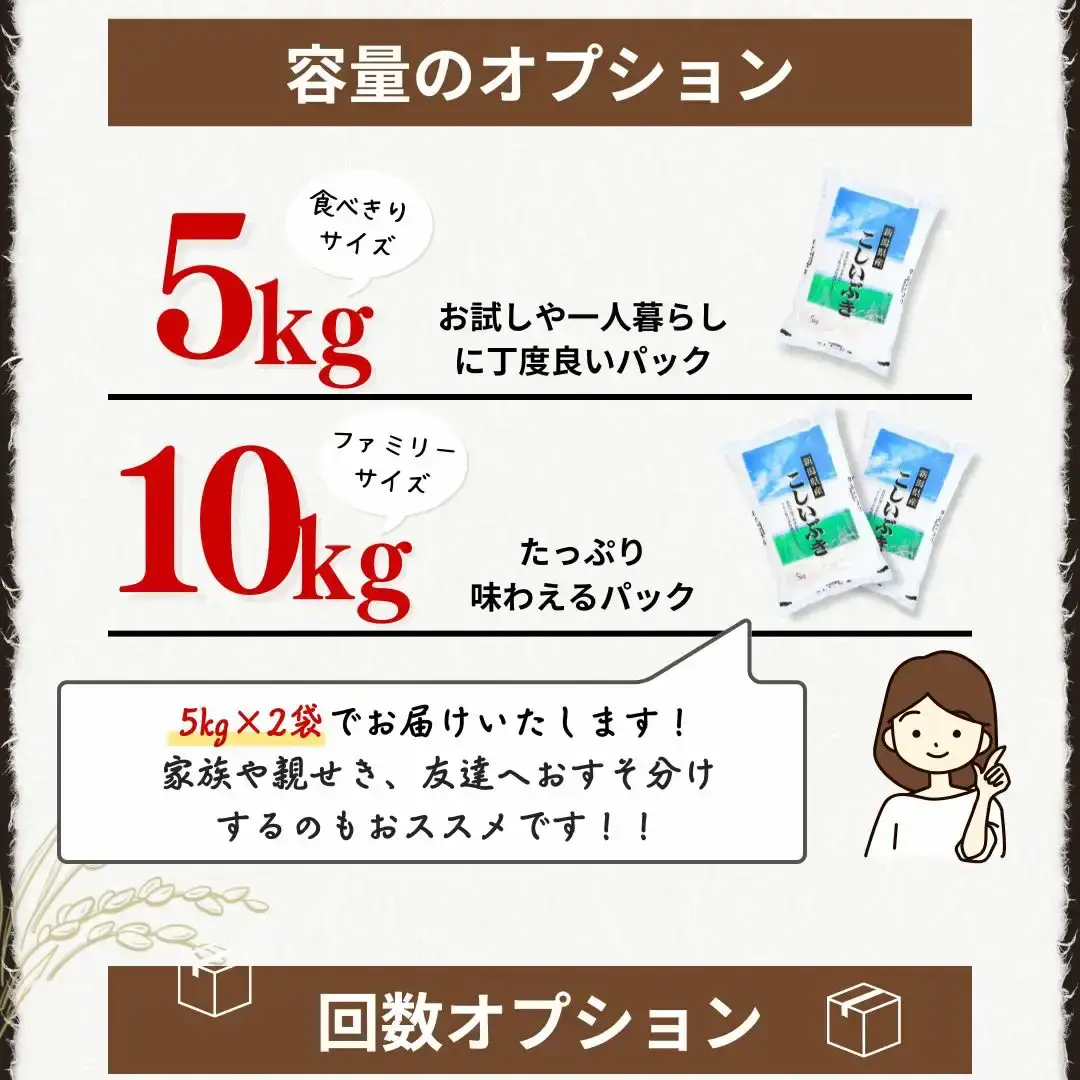 無洗米 こしいぶき10kg 令和7年産 新潟県 白熊
