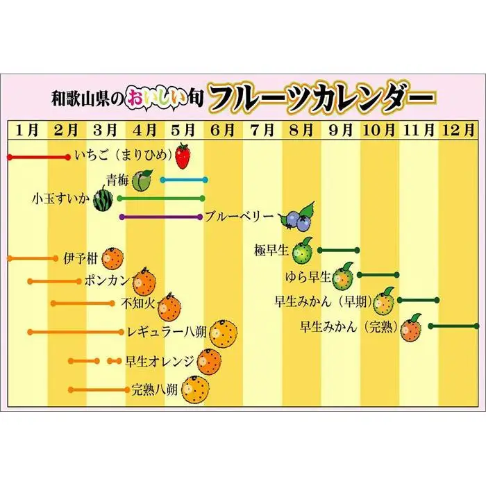 味くらべ梅　6種類の南高梅　各3粒ずつ