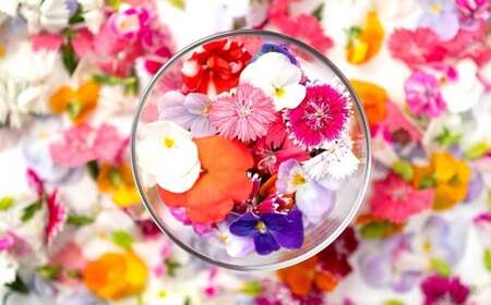 エディブルフラワー 生花MIX（20輪入り）5パックセット【食べられるお花 栽培期間中 農薬不使用】