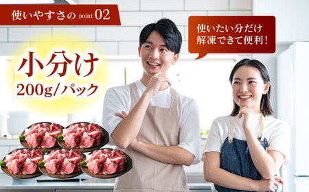 【全3回定期便】佐賀牛 切り落とし200g×5パック HAA080 切り落とし 国産 和牛 牛肉