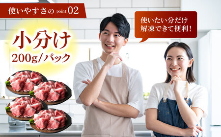 【全12回定期便】佐賀牛 切り落とし 1kg (200g×5パック) HAA082 切り落とし 国産 和牛 牛肉