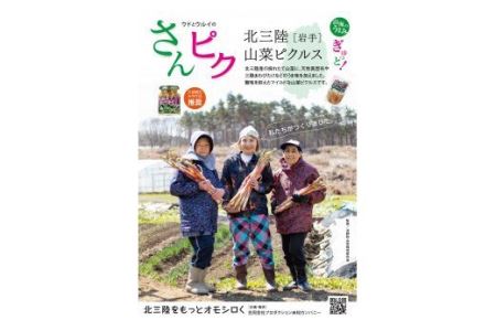 さんピクー北三陸山菜ピクルスー３本セット