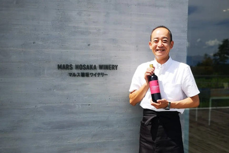 ワイン 12本 セット ｜赤4本 白 5本 スパークリング 3本 飲み比べ ソムリエ セレクト [本坊酒造 マルス穂坂ワイナリー 山梨県 韮崎市 20743114]