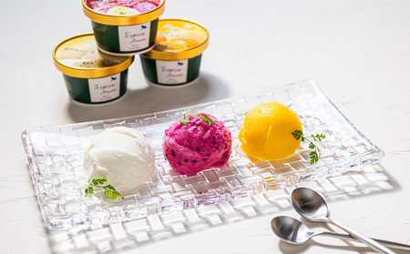 奄美の素材をたっぷり使った贅沢ジェラート詰合わせ　12個入 アイス あいす カップアイス 果物アイス  