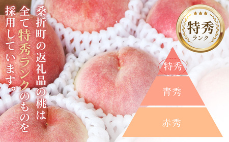 もも【あかつき・2026年産】特秀1.5kg「献上桃の郷ブランド品」桑折町産　JAふくしま未来　桃 ／ もも モモ 果物 フルーツ 旬 甘い 甘み ジューシー 果肉 果汁 新鮮 フレッシュ デザート おいしい 産地直送 桑折 こおり こおりまち 福島県 特産品 No.136