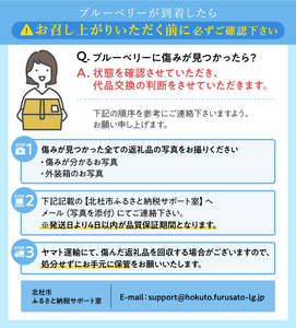 【2026年先行予約】大きく甘い、完熟ハイブッシュブルーベリー 500g（250g×2パック） ベリー [h186001]