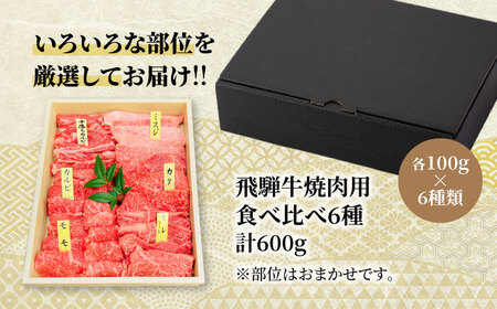 飛騨牛 焼肉用  6種飛騨牛食べ比べ【マルゴー】[MBE041]