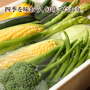 先行予約 野菜 果物 10～13種類 詰め合わせセット 野菜 野菜 新潟 野菜 野菜 C16_01