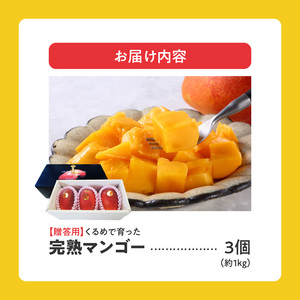 【2026年6月以降お届け】くるめで育った完熟マンゴー（3個：約1kg）_先行予約 贈答用 トロ～ッと口のなかでとろける くるめで育った 完熟マンゴー 3個 約 1kg 甘い 子供も安心 フルーツ  果物 マンゴー 完熟 国産 冷蔵 クール便 倉重農園 お取り寄せ 福岡県 久留米市 送料無料 〔Fm013〕