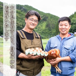 ＜定期便・全6回 (連続)＞平飼い赤鶏のたまご (総量300個・S-Mサイズ50個×6回) 元さん農園 卵 玉子 卵かけご飯 玉子焼き 平飼い 鶏 鶏卵 養鶏場直送 朝採れ 新鮮 大分県 佐伯市 【GE006】【 (株)海九】