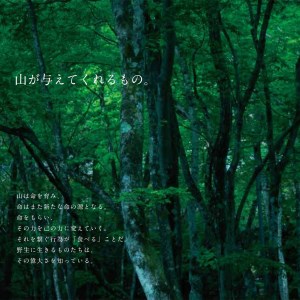 ヤマナカレー200グラム×5個