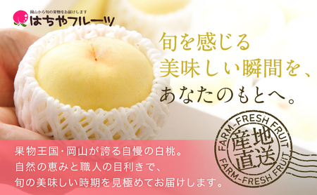 桃 2026年 先行予約 岡山 白桃 ロイヤル  約1kg 4～6玉 JAおかやまのもも（早生種・中生種） もも モモ 岡山県産 国産 フルーツ 果物 ギフト 