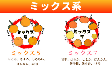＜一歩会 ジュエリーボックス ジュース飲み比べセット 720ml×6本入り（果汁100%ストレートジュース）愛媛 みかん＞ ミカン 柑橘 果物 フルーツ 特産品 渡江から一歩を踏み出す会 飲んで応援 愛媛県 西予市【常温】『令和8年5月より順次出荷予定』ATI0020