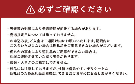 A8 【2026年9月中に順次発送予定】シャインマスカット 約1.2kg マスカット ぶどう 葡萄