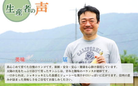 【2026年先行予約】りんご サンふじ 家庭用 訳あり 約10kg ＜中島農園＞|りんご