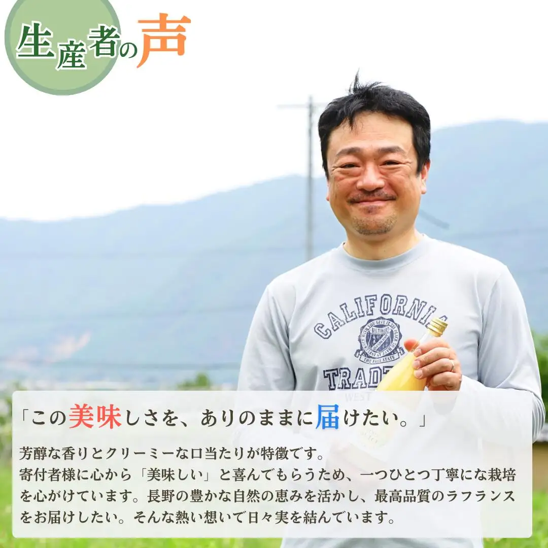 【2026年先行予約】洋梨 ラ・フランス 約5kg|ラフランス
