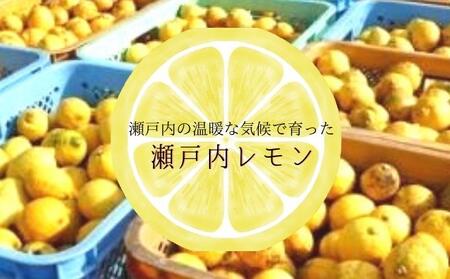【 小豆島 】オリーヴの森 半生オリーヴそうめんと瀬戸内レモン香る 贅沢だしつゆセット 半生 そうめん 素麺 麺 麺類 レモン 檸檬 爽やか オリーブ だしつゆ ヘルシー 健康 国産 香川 香川県 土庄 土庄町