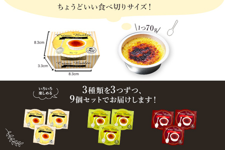 古賀市クレームブリュレ 9個 プレーン・抹茶・チョコ各3個ずつセット 合計9個 クリームブリュレ 焦がし商品 カラメリゼ お菓子 デザート 洋菓子 お土産 ギフト 贈り物 プレゼント