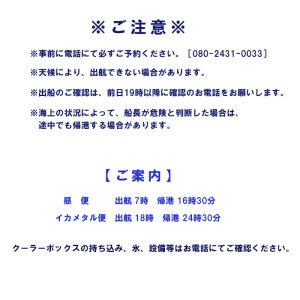 舞鶴で船釣り体験！ シーホーク １日乗船券 １名様 ： ルアーフィッシング 関西 日本海 京都府 舞鶴市 海 アウトドア 釣り フィッシング 船 釣り船 船釣り 体験