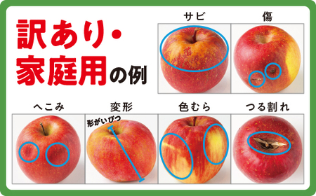 りんご サンふじ ( 小玉 ) 家庭用 5kg 沖縄県への配送不可 2026年12月中旬頃から2026年12月下旬頃まで順次発送予定 令和8度収穫分 静谷りんご園 信州の環境にやさしい農産物認証 減農薬栽培 長野県 飯綱町 [1289]