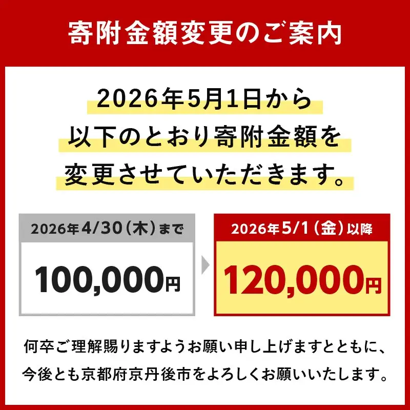 ネクタイ 【クスカ】エグゼクティブガルザ【No.3】 ネクタイ
