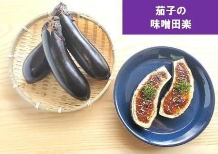由布の恵み【新鮮 朝穫れ旬野菜！8種類以上！】おまかせお楽しみセット | 野菜