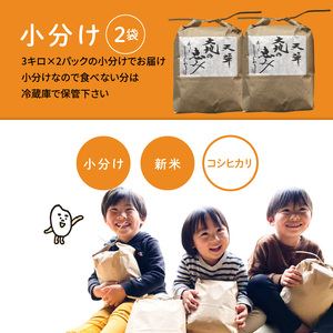 S108-003A_〈令和8年産〉熊本県天草産　天草の大地の恵み　新米コシヒカリ6㎏【先行予約】