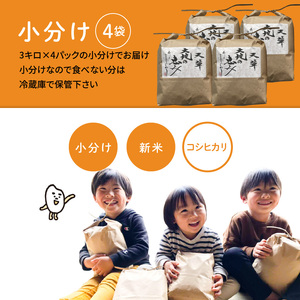 S108-004A_〈令和8 年産〉熊本県天草産　天草の大地の恵み　新米コシヒカリ12㎏【先行予約】