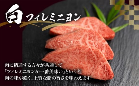 飛騨牛 紅白焼き肉食べ比べ 古里精肉店 牛肉 焼き肉 ヒレ フィレミニヨン テート [Q1338]