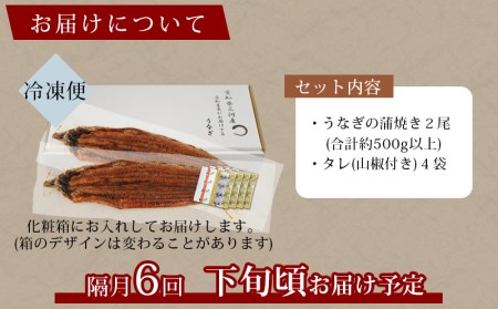 【定期便】三河産うなぎ「超おばけ蒲焼き2尾(合計500g以上)」×6回(隔月1回　1年間)・A134-120