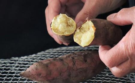 さつまいも JA金沢市 加賀野菜　五郎島金時 秀品・5kg さつまいも