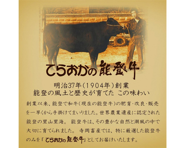 てらおか風舎の特選能登牛100%ハンバーグ 120g×5個 [てらおか風舎（寺岡畜産株式会社） 石川県 志賀町 AA4199]