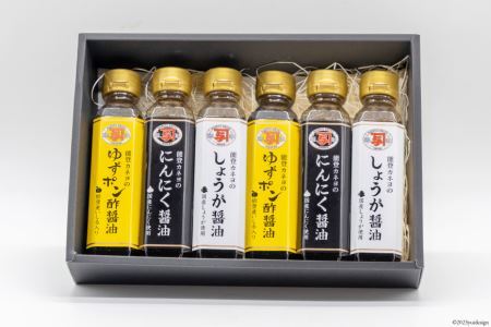 能登 カネヨの簡単かけるだけセット [カネヨ醤油 石川県 志賀町 AG4129]