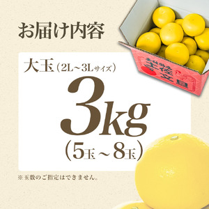 日本ギフト大賞2024受賞】【先行予約】 文旦3kg 大玉（3L〜2L）家庭用