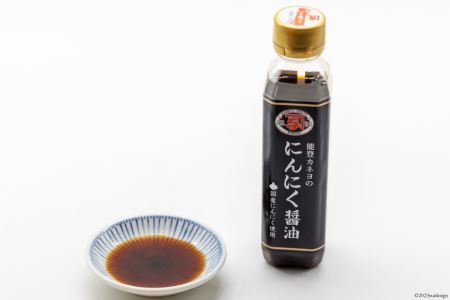 能登 カネヨの蔵出し醤油セット [カネヨ醤油 石川県 志賀町 AG4122]