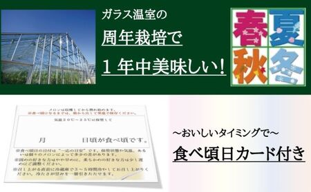 クラウンメロン　規格外特大玉　2玉入【毎月お届け3ヶ月定期便】【配送不可：離島】 果物 フルーツ デザート おやつ おもてなし ブランド 温室 温室育ち 濃厚 超特大サイズ 静岡県産 浜松市産 セット 
