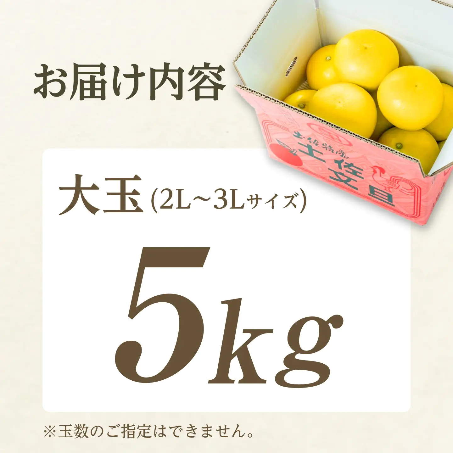 【日本ギフト大賞2024受賞】先行予約 園主こだわり土佐文旦 【大玉5kg】（3L〜2L） 2027年1月下旬より順次発送 家庭用 ぶんたん ブンタン 柑橘【やの一果彩】[BQAC002]