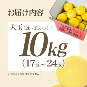 みのるさんの土佐文旦(ブンタン)15kg(箱込) 日本ギフト大賞2024受賞】先行予約 園主こだわり土佐文旦 【大玉10kg