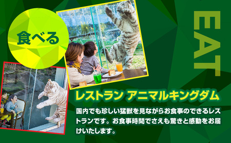 伊豆アニマルキングダム 入園券 2枚 A003 ／ 動物園 チケット 招待券 静岡県 東伊豆町