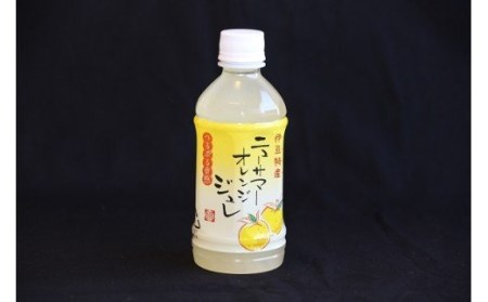 ニューサマーオレンジ　ジュレ　ゼリーdeシャーベット(大)　B015／甘味しるこや悠遊庵　ジュース　静岡県　東伊豆町