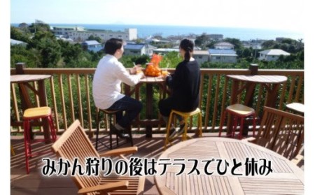 みかん狩り　収穫体験　搾りたて　生ジュース　お土産付　2名様　B018／収穫体験農園ふたつぼり　静岡県　東伊豆町