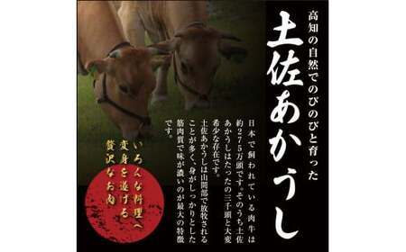 土佐あかうし 和牛コマ切り落とし 200g×2 計400g 牛肉 牛 肉 お肉 赤牛 あか牛 和牛 ビーフ 切り落し 切落し 牛こま 国産 高知県 香美市