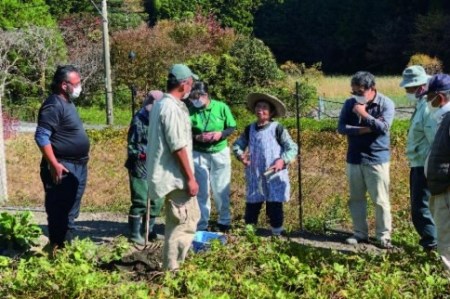 高系芋 焼酎 神池 25度 720ml 2本入