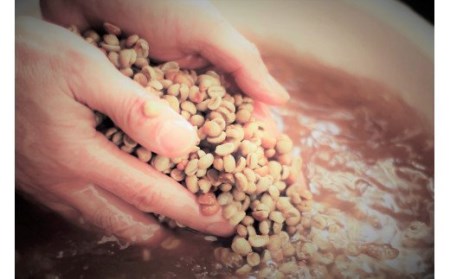スペシャルブレンド ブナの森 豆 180g×1 コーヒー 奥大山の水洗い珈琲 0773