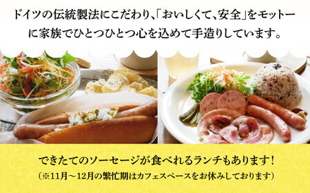 ソーセージ 【35本×3回定期便】生ソーセージ詰め合せ7本入り×5袋 ※無塩せき（亜硝酸ナトリウム不使用） [EAM041]  国産ソーセージ ソーセージウインナー 冷凍 詰合せ 定期便
