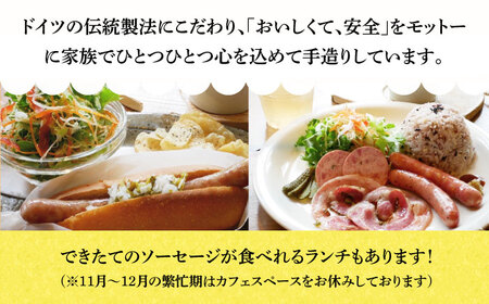 ソーセージ 【49本×6回定期便】生ソーセージ詰め合せ7本入り×7袋 ※無塩せき（亜硝酸ナトリウム不使用）[EAM045]  国産ソーセージ ソーセージウインナー 冷凍 詰合せ 定期便