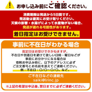 天然 クログチ (約2kg・計2-4本) 直送 産直 漁師 魚 鮮魚 天然 クログチ カマガリ 釜借 白身魚 獲れたて 刺身 煮つけ 塩焼き 冷蔵 豊後水道 鮮魚 大分県 佐伯市【CS09】【 (有)丸昌水産】
